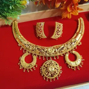 Elegant Gold Plated Necklace